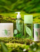 Elizabeth Arden Green Tea toaletna voda za ženske 100 ml