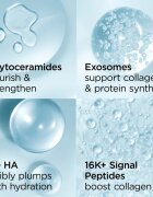 Elizabeth Arden Hyaluronic Acid + Peptides Ceramide vlažilna krema za obraz s ceramidy a peptidy 50 ml