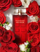 Elizabeth Arden Red Door toaletna voda za ženske 100 ml