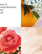 Elizabeth Arden Sunflowers toaletna voda za ženske 30 ml