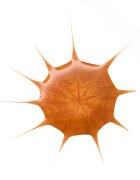 essence Drop of Sunshine tekoči bronzer 25 ml