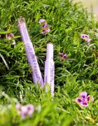 essence GLIMMER IN A BUBBLE balzam za ustnice za toniranje z gelasto teksturo odtenek 01 Chasing Bubbles 1.6 g
