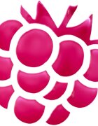 essence WHAT A TINT! večnamensko ličilo za ustnice in lica odtenek 10 Raspberry Vibes 5 g