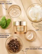 Estée Lauder Revitalizing Supreme+ Youth Power Creme dnevna lifting in učvrstitvena krema za posvetlitev in zgladitev kože 30 ml