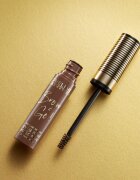 Eveline Cosmetics Brow & Go! maskara za obrvi odtenek 01 Light 6 ml