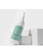FarmaVita Amethyste Advance Divalent pomirjujoči šampon za suhe konice las 1000 ml