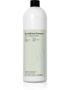 FarmaVita Backbar Revitalizing vlažilni in revitalizacijski šampon 1000 ml