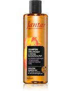 Farmona Jantar Amber Essence šampon za poškodovane lase 300 ml