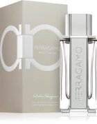 Ferragamo Bright Leather toaletna voda za moške 100 ml