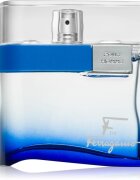 Ferragamo F by Free Time toaletna voda za moške 100 ml