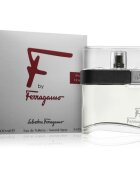 Ferragamo F by toaletna voda za moške 100 ml
