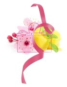 Ferragamo Signorina in Fiore toaletna voda za ženske 100 ml