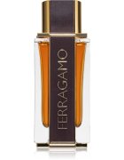 Ferragamo Spicy Leather parfumska voda za moške 100 ml