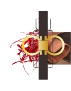 Ferragamo Spicy Leather parfumska voda za moške 100 ml