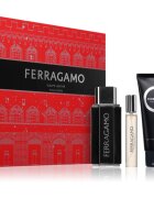 Ferragamo Sublime Leather darilni set za moške 1 kos