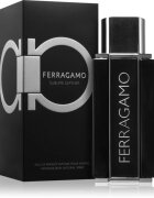 Ferragamo Sublime Leather parfumska voda za moške 100 ml