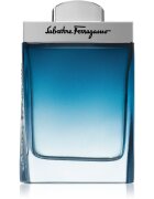 Ferragamo Subtil Pour Homme toaletna voda za moške 100 ml