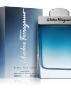 Ferragamo Subtil Pour Homme toaletna voda za moške 100 ml