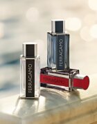 Ferragamo toaletna voda za moške 100 ml