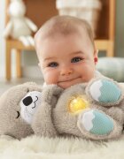Fisher-Price Soothe & Settle Otter plišasta igrača z melodijo 1 kos