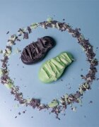 Foamie Too Coal To Be True trdo milo za čiščenje obraza za normalno do mešano kožo 60 g