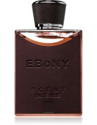 Fragrance World Ebony Scent Intense parfumska voda za moške 100 ml