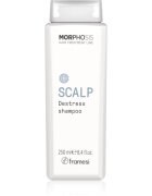 Framesi Morphosis Scalp pomirjujoči šampon za občutljivo lasišče 250 ml