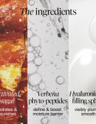 fresh Sugar Melt Lip Cream balzam za ustnice za toniranje odtenek Mango Pulp 12 g