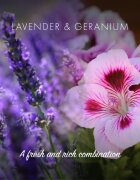 Friendly Soap Natural Shampoo Bar Lavender & Geranium naravno milo za lase 7x95 g