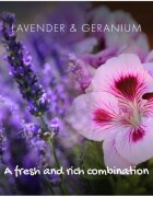 Friendly Soap Natural Shampoo Bar Lavender & Geranium naravno milo za lase 95 g