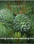 Friendly Soap Natural Soap Cedarwood naravno milo 95 g