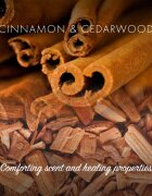 Friendly Soap Natural Soap Cinnamon naravno milo 7x95 g