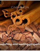 Friendly Soap Natural Soap Cinnamon naravno milo 95 g