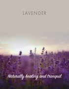 Friendly Soap Natural Soap Lavender naravno milo 7x95 g