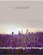 Friendly Soap Natural Soap Lavender naravno milo 95 g
