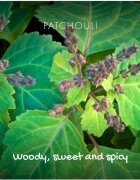 Friendly Soap Natural Soap Patchouli & Sandalwood naravno milo 95 g