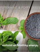 Friendly Soap Natural Soap Peppermint & Poppy Seeds naravno milo 95 g