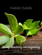 Friendly Soap Natural Soap Ylang Ylang naravno milo 7x95 g