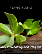 Friendly Soap Natural Soap Ylang Ylang naravno milo 95 g