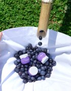 Frudia Blueberry vlažilna gel krema 10 ml