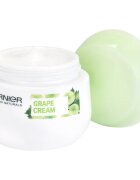 Garnier Botanical vlažilna krema za normalno do mešano kožo 50 ml