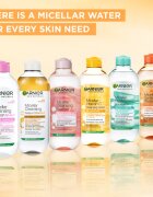 Garnier Micellar dvofazna micelarna voda 3v1 100 ml