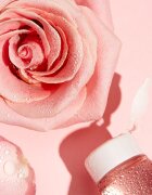 Garnier Micellar micelarna voda z vrtnično vodo 400 ml