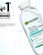 Garnier Salicylic Micellar Cleansing Water micelarna čistilna voda s salicilno kislino 400 ml