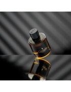 Gisada Ambassador parfumska voda za moške 50 ml