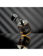 Gisada Ambassador parfumska voda za moške 50 ml