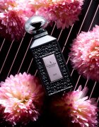 Gisada Luxury Collection Iris Parfum parfum uniseks 100 ml