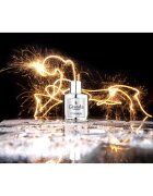 Gisada Titanium parfumska voda za moške 50 ml