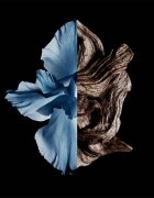 GIVENCHY Gentleman Intense toaletna voda za moške 60 ml