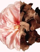GIVENCHY Irresistible dišava za lase za ženske 35 ml